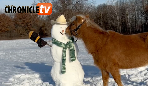 EC Video of the Day: The Great Snowman Carrot Nose Heist Challenge
