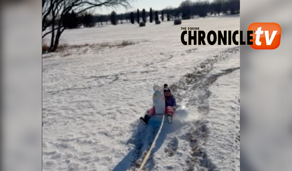 EC Video of the Day: The Incomparable Joys of a Snow Day