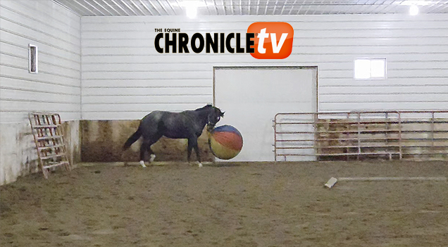 EC Video of the Day: Boys and Their Toys