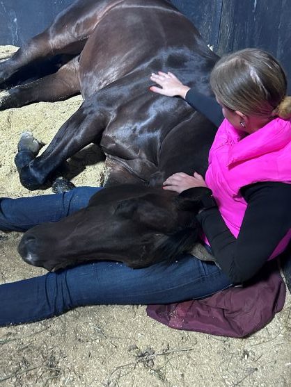 EC Photo of the Day: My Horse Feeds My Soul EC Photo of the Day: My Horse Feeds My Soul