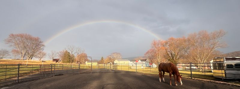 EC Photo of the Day: The Sunshine After the Storm