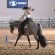 2026 AQHA West L1 Championships Stall Proofing List