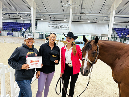 Around the Rings with the G-Man: A Sudden Impulse 2026