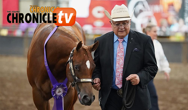 The Breeding Program Success of Warren English Jr and Laurie English The Breeding Program Success of Warren English Jr and Laurie English