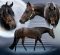 Memory Lane Monday: In Remembrance of Only In The Moonlite, 2004-2019