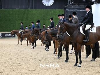 Big Money Paid in Trail and Hunter Under Saddle Mid-Week at The Madness