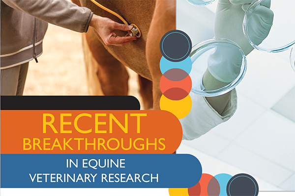 Recent Breakthroughs In Equine Veterinary Research Recent Breakthroughs In Equine Veterinary Research