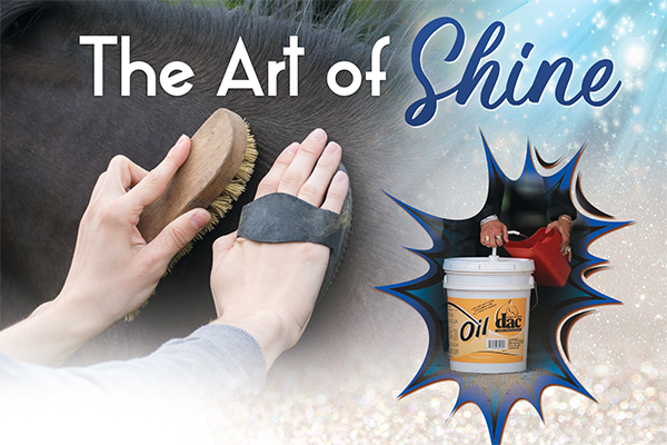 The Art Of Shine