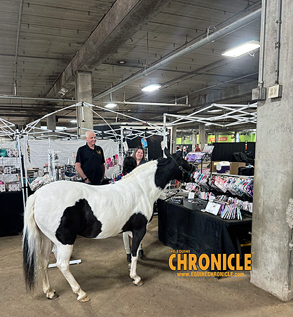 Around the Rings: 2026 All American Youth Horse Show