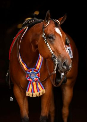 EC Photo of the Day: A Great Language