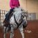 2026 Appaloosa Nationals and Youth World Show Just One Month Away!