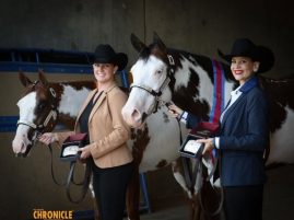 Entries Posted for 2026 APHA World Championship Show