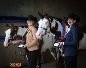 Entries Posted for 2026 APHA World Championship Show