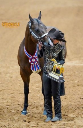 2026 AQHYA World Championship Show Entries Open