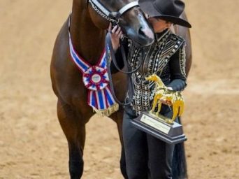 2026 AQHYA World Championship Show Entries Open