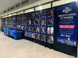 Super Sires at the 2026 APHA World Championship Show