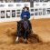 A Vintage Smoke Becomes an NRHA Million Dollar Sire