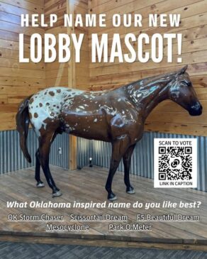 Name the New Appaloosa Horse Club Lobby Mascot