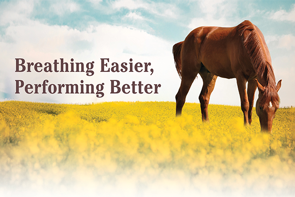 Breathing Easier, Performing Better Breathing Easier, Performing Better