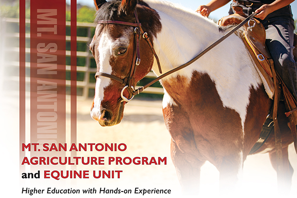 Mt. San Antonio Agriculture Program And Equine Unit