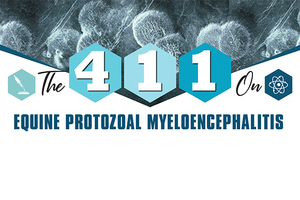 The 411 On Equine Protozoal Myeloencephalitis