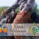 VRH Classes Added to 2026 Gold Coast & 2027 Gulf Coast Showbills