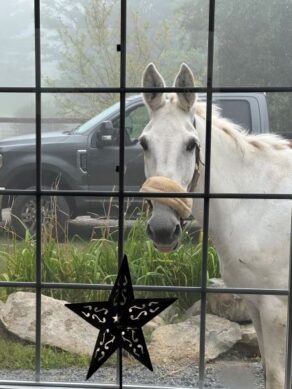 EC Photo of the Day: Is Lunch Ready Yet?