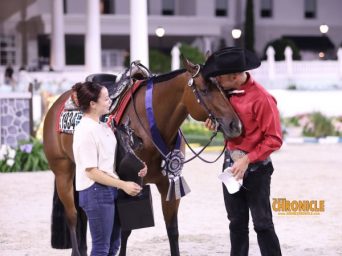 The Championship 2026 AQHA & NSBA Patterns
