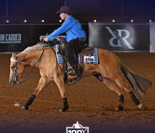 2026 Reining Results from Q-Data: 100X Reining Classic 2026 Reining Results from Q-Data: 100X Reining Classic