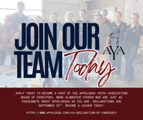 Openings for the Appaloosa Youth Association Board of Directors