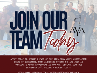 Openings for the Appaloosa Youth Association Board of Directors