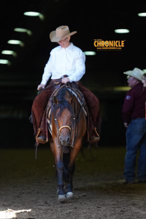 AQHF Opens Annual Call for Equine Research Grant Proposals