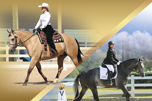 Industry Professionals Celebrate Dressage And Western Dressage For Stock Horse Breeds Industry Professionals Celebrate Dressage And Western Dressage For Stock Horse Breeds