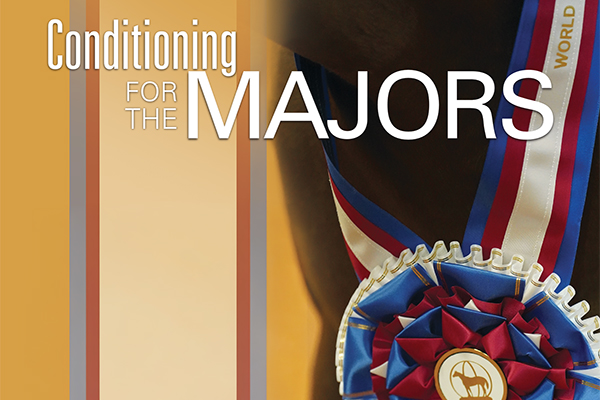 How Trainers And Exhibitors Prepare Horses For The Demands Of Top-Level Competition How Trainers And Exhibitors Prepare Horses For The Demands Of Top-Level Competition
